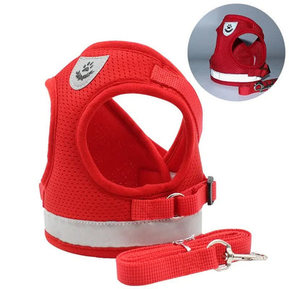 WANDERPAW – Escape-proof cat harness with reflective details