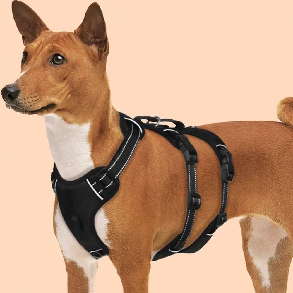 NOPULL DOG HARNESS – reflective and escape-proof for safe walks