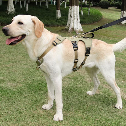 NOPULL DOG HARNESS – reflective and escape-proof for safe walks