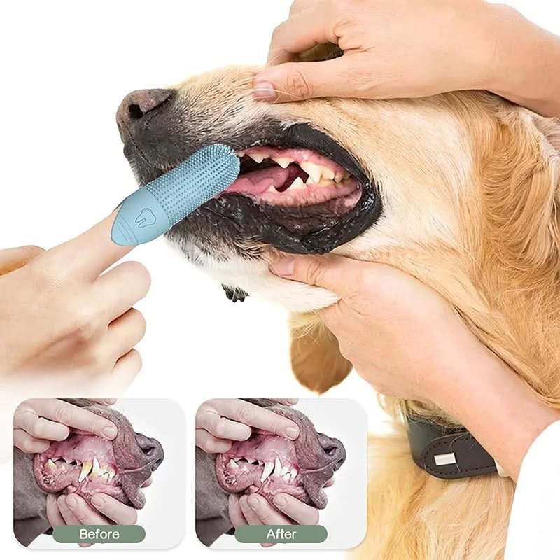 DENTEEZ – 360° Finger Toothbrush for Dogs & Cats
