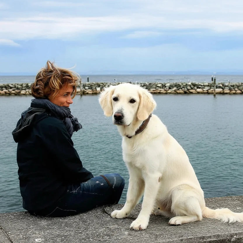 ADVENTUREPAWS ELITE LEASH – Adjustable Dog Leash for Safety & Comfort
