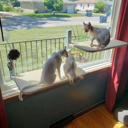 Pawperch - Foldable cat hammock for windows & walls