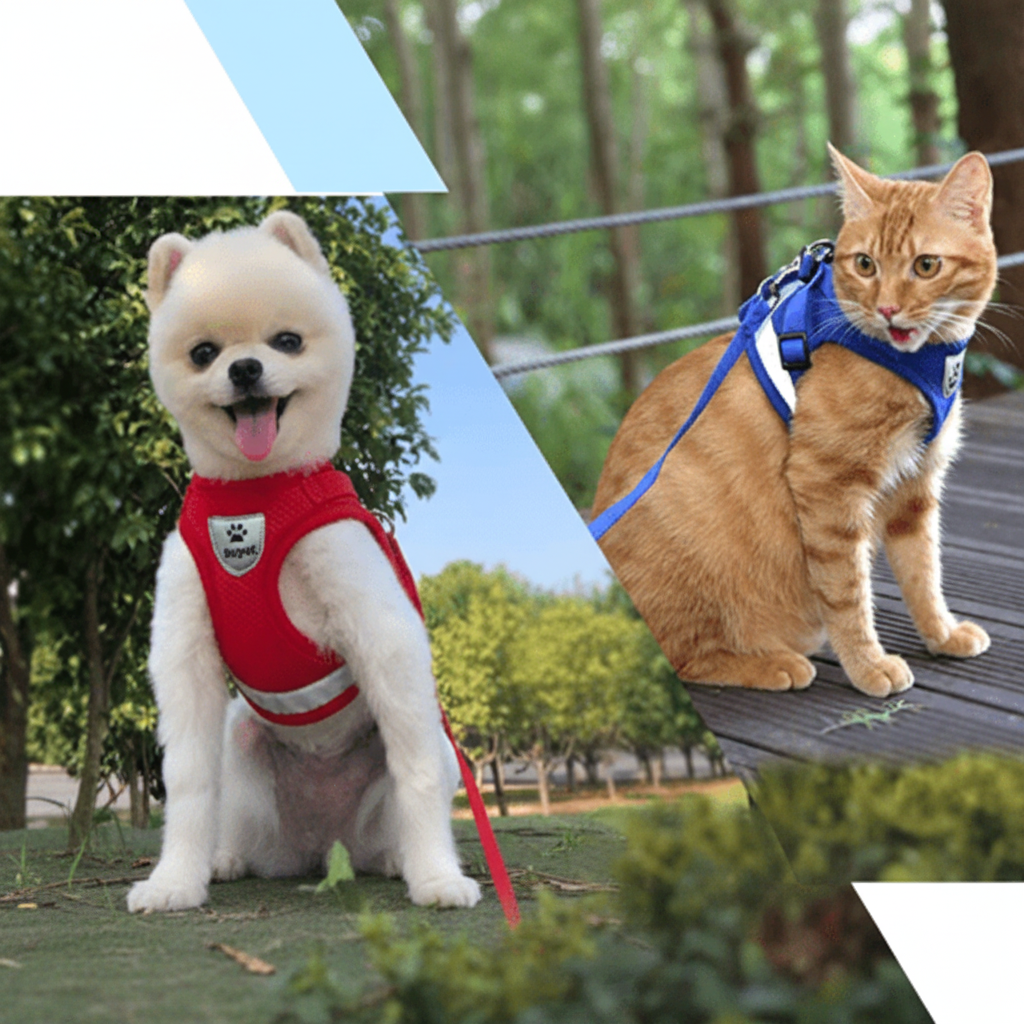 WANDERPAW – Escape-proof cat harness with reflective details