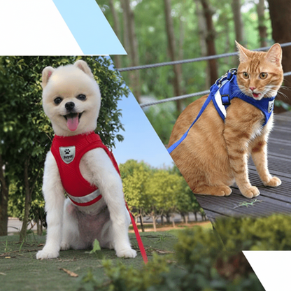 WANDERPAW – Escape-proof cat harness with reflective details