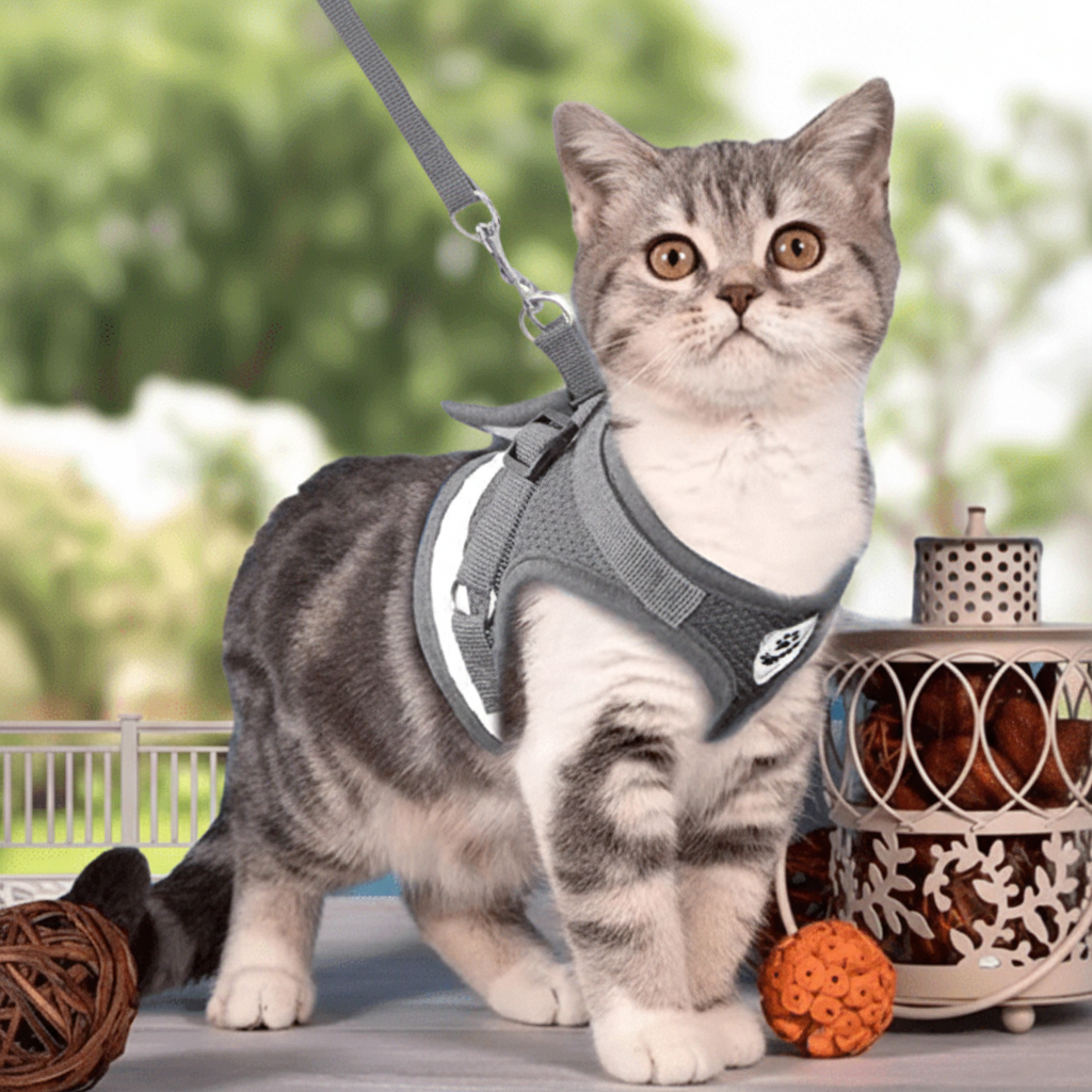 WANDERPAW – Escape-proof cat harness with reflective details