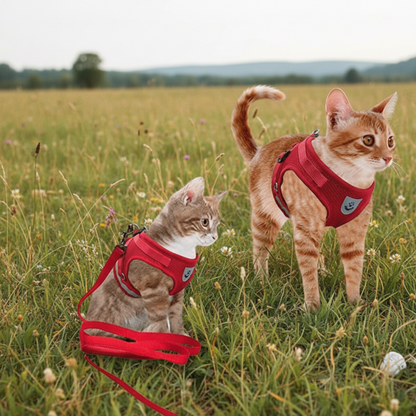 WANDERPAW – Escape-proof cat harness with reflective details
