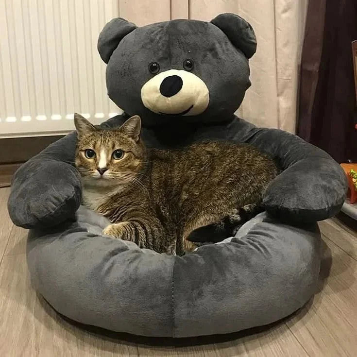 DreamWhisk Cat Bed – Cozy Cat Bed with Security & Comfort