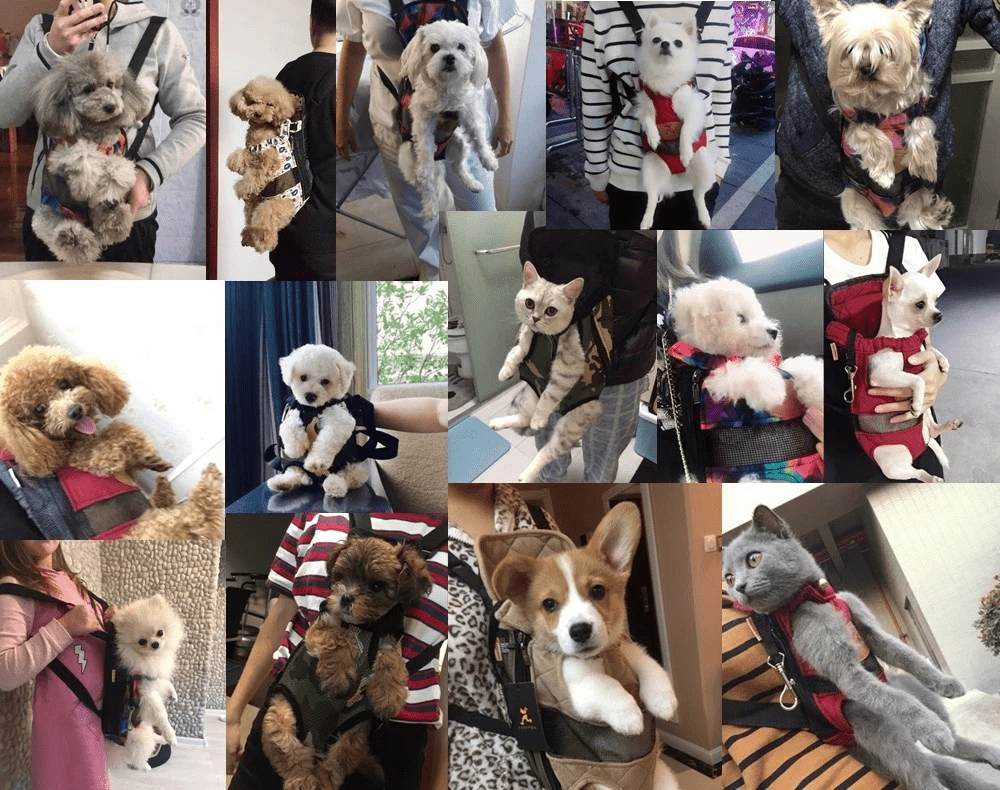 Travelbuddy Carrier - Breathable pet travel bag for stylish & safe travelling