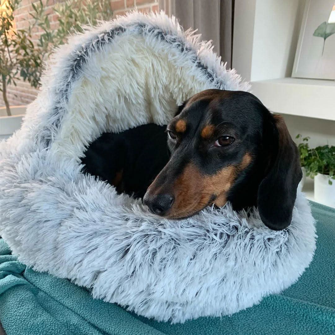 Luxury Couple's Pet Bed - Luxurious pet bed for ultimate comfort