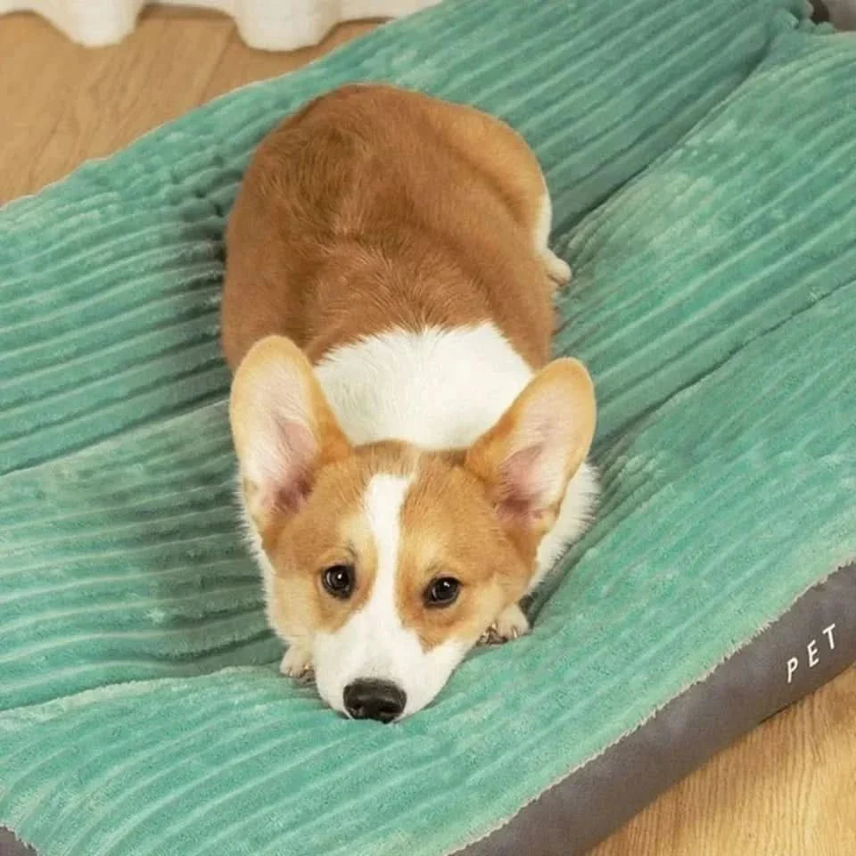FLAUSCHNEST – Cozy Comfort for Dogs