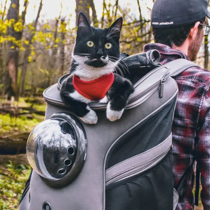 PANORIX – Foldable Cat Travel Bag with Panoramic Window