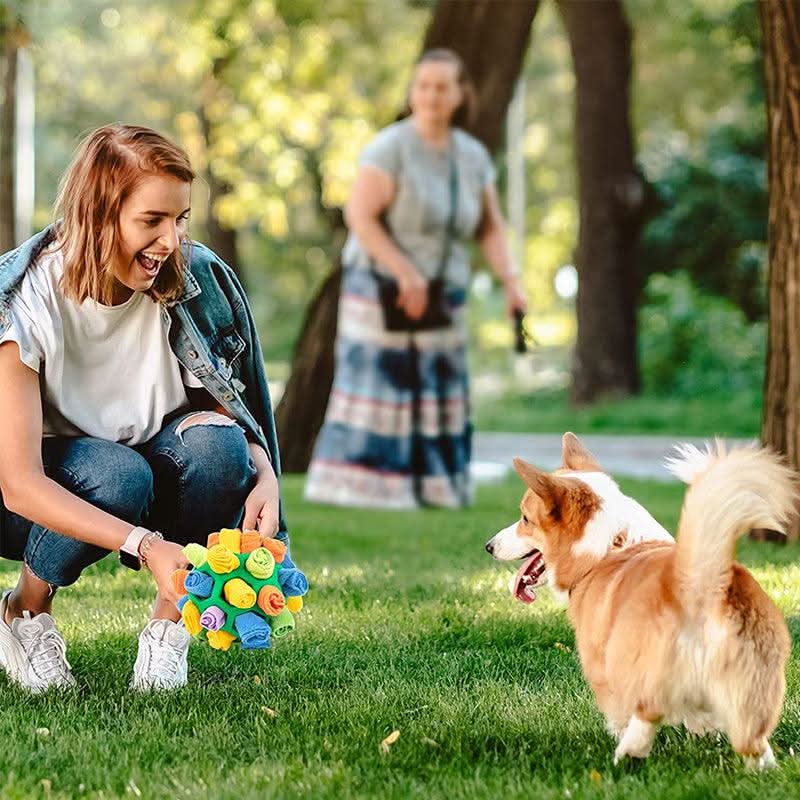 PAWZZLE MAT – Interactive Sniffing Toy for Mental Exercise