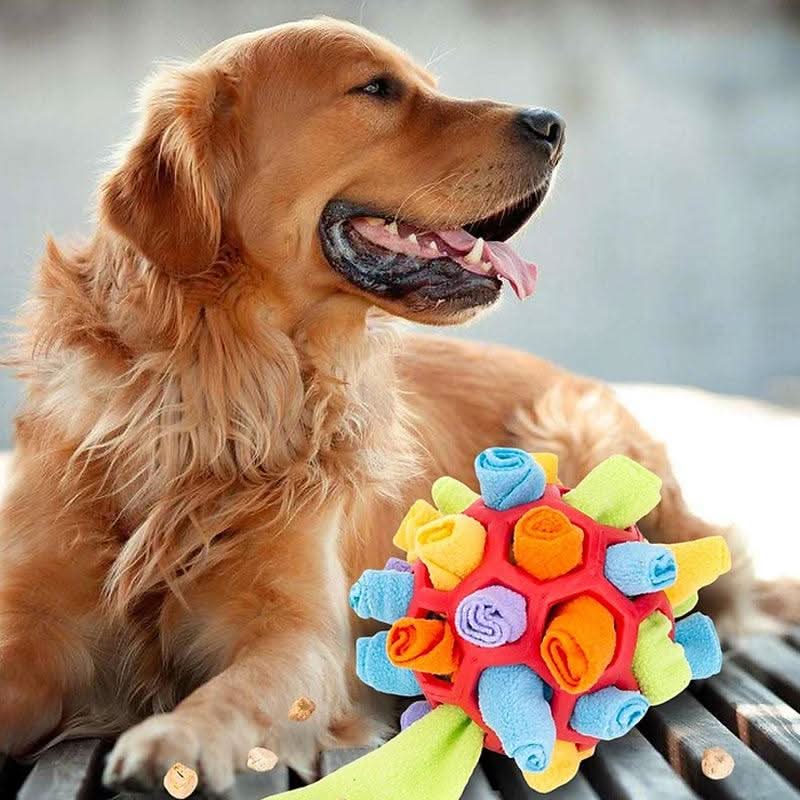 PAWZZLE MAT – Interactive Sniffing Toy for Mental Exercise