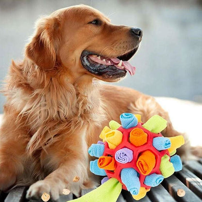 PAWZZLE MAT – Interactive Sniffing Toy for Mental Exercise