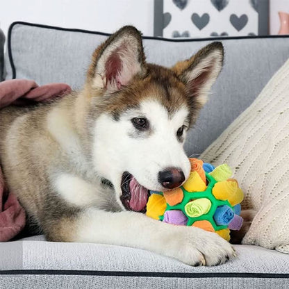 PAWZZLE MAT – Interactive Sniffing Toy for Mental Exercise