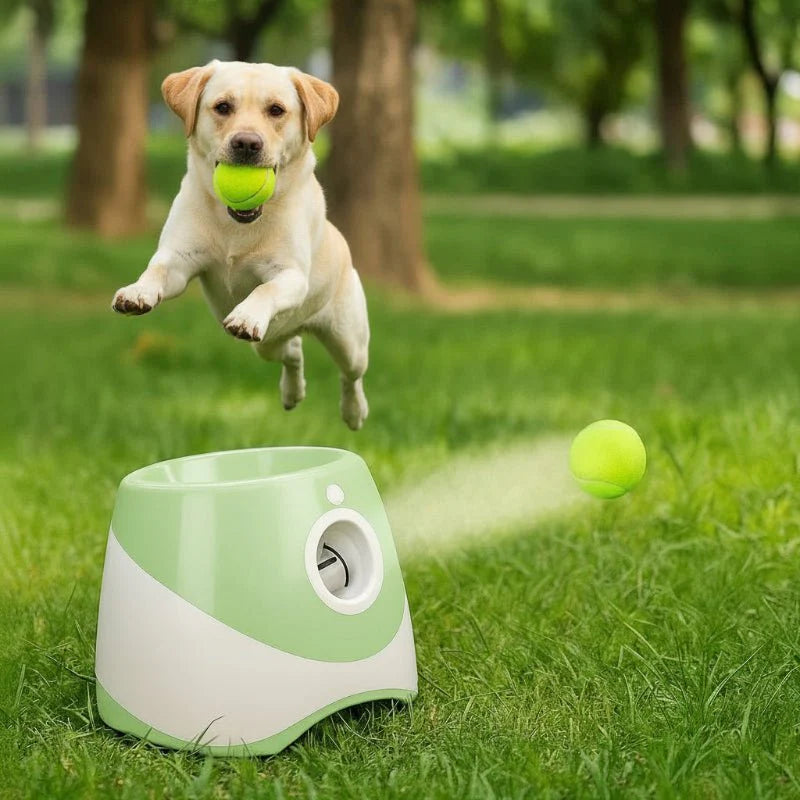PLAYFETCH – Automatic Ball Thrower for Dogs