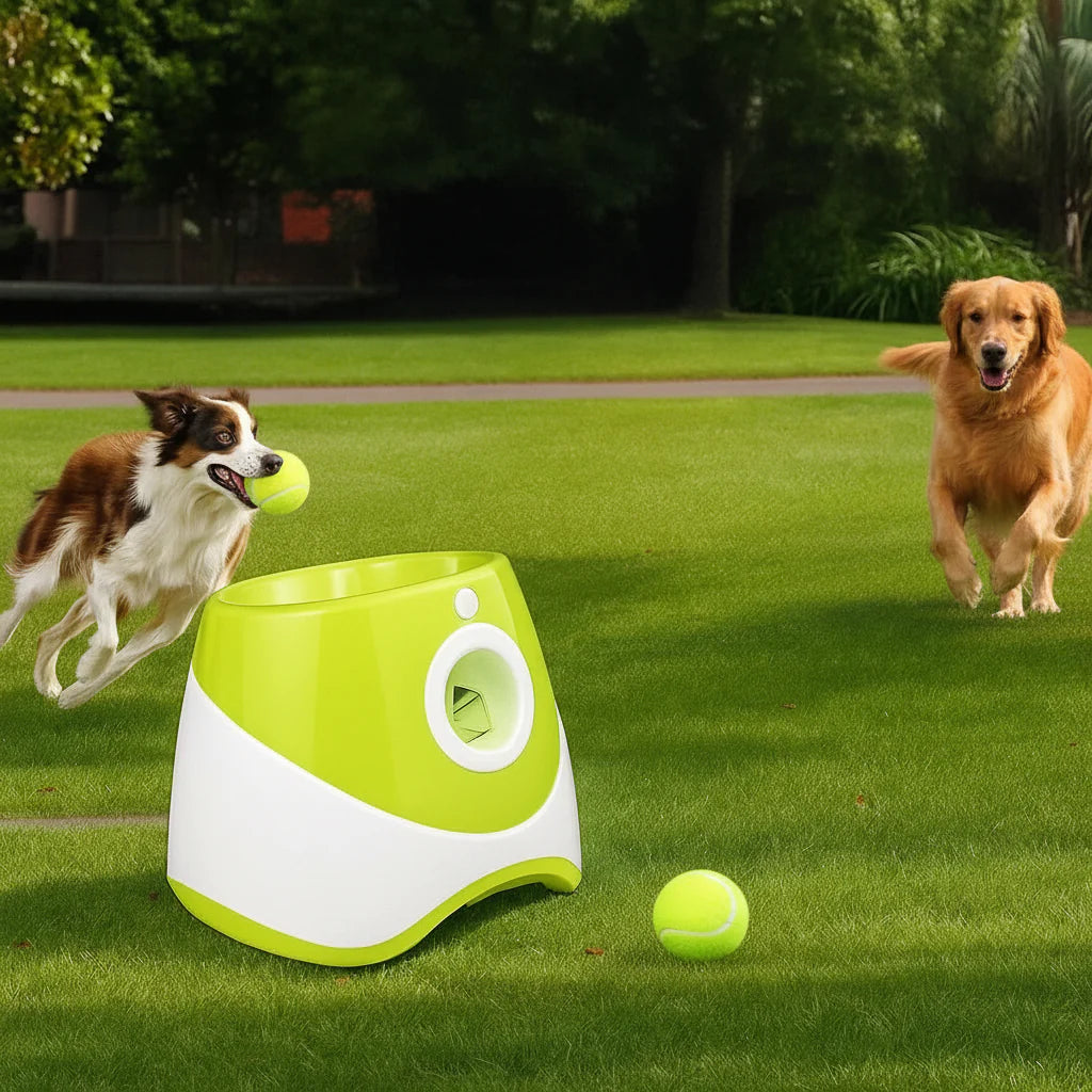 PLAYFETCH – Automatic Ball Thrower for Dogs