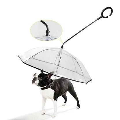 Rainguard Umbrella - Transparent umbrella for dogs